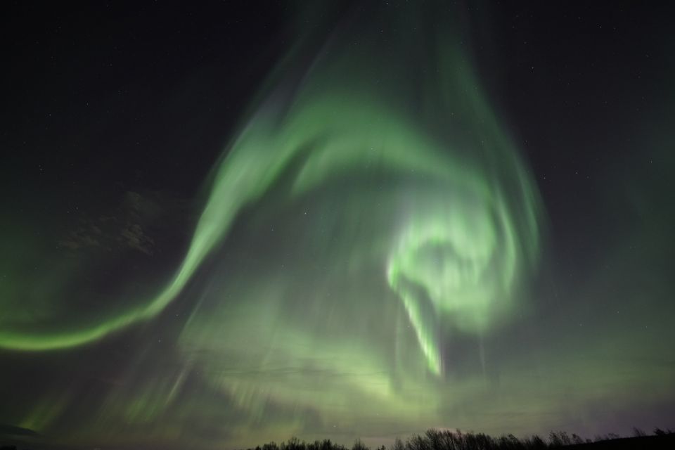 Rovaniemi: Aurora Borealis Tour - Last Words