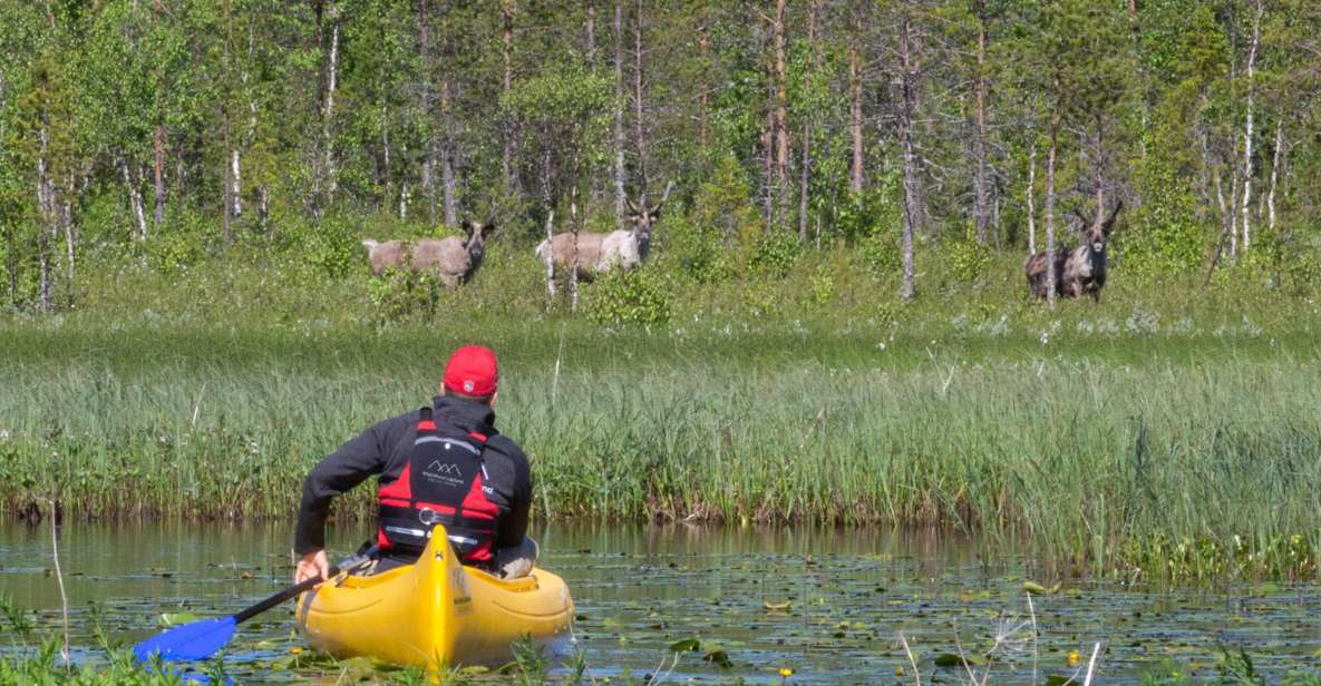 Rovaniemi: Authentic Reindeer Farm & Canoeing - Group Size & Setting