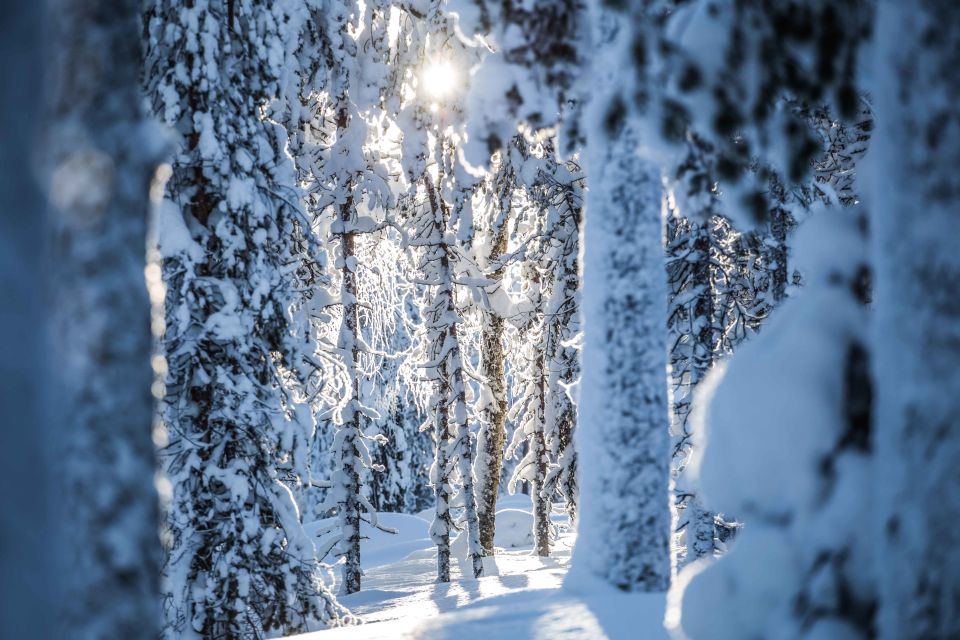 Rovaniemi: Backcountry Skiing Adventure - Last Words