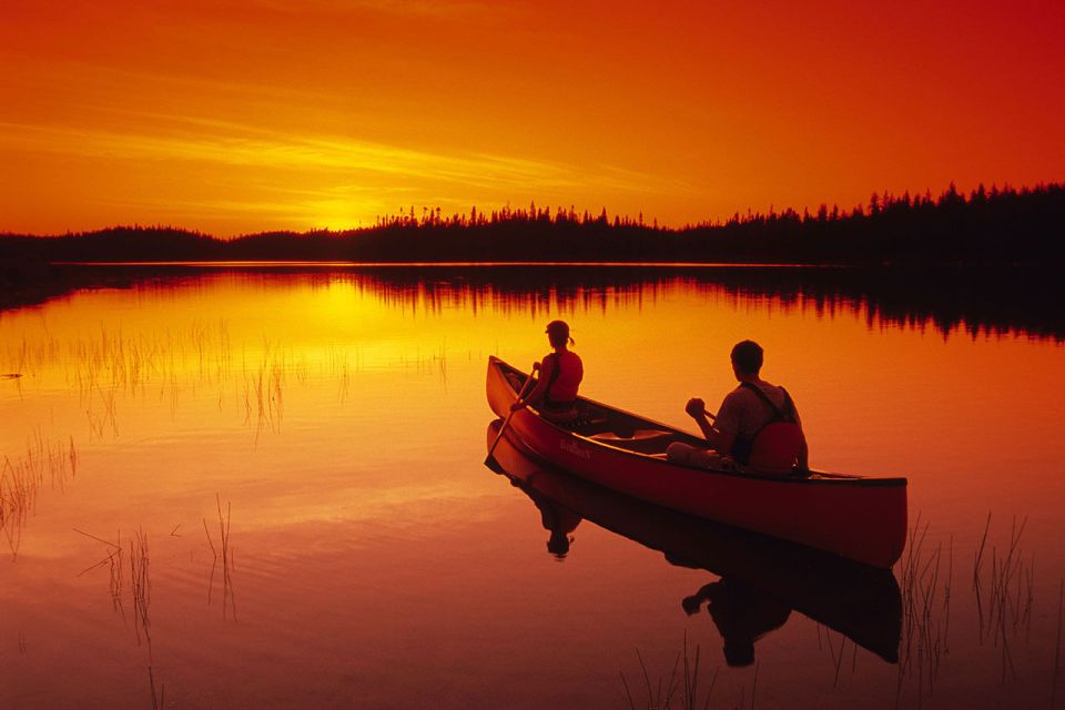 Rovaniemi: Wilderness Kayaking Adventure Trip With Hot Drink - Last Words