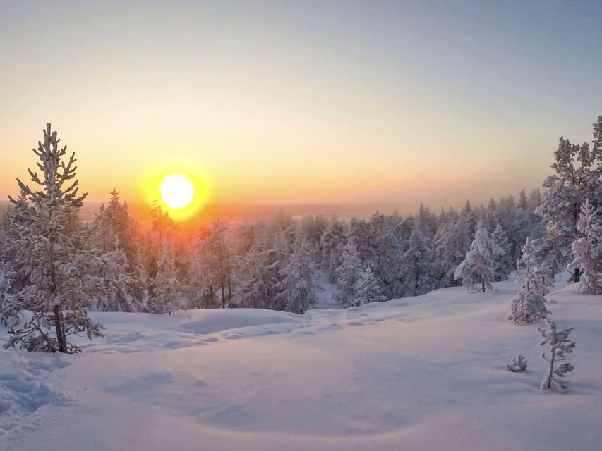Rovaniemi: Wilderness Tour - Last Words