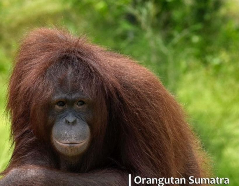 Safari Lagoi & Eco Farm Bintan - Conservation Efforts