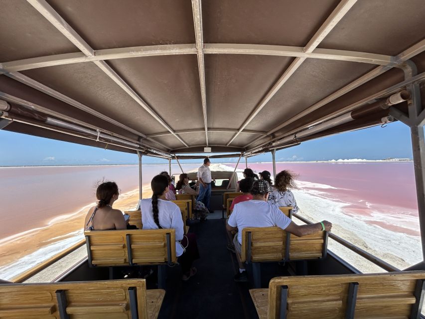 Safari Tour Around the Pink Lakes of Las Coloradas - Visitor Reviews