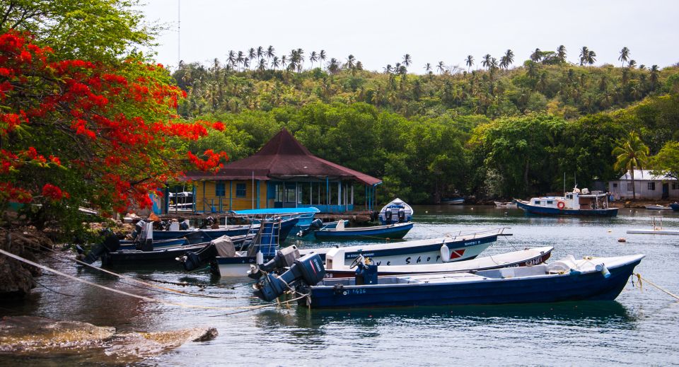 San Andrés: Guided Cays and Mangroves Tour - Common questions