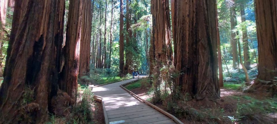 San Francisco: Muir Woods and Sausalito Small Group Tour - Directions
