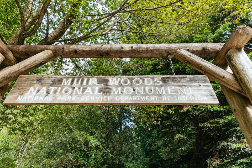 San Francisco: Muir Woods and Sausalito Small-Group Tour - Itinerary Details
