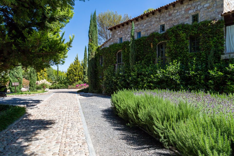 San Miguel De Allende: Tour of 2 Vineyards With Wine Tasting - Experience Highlights