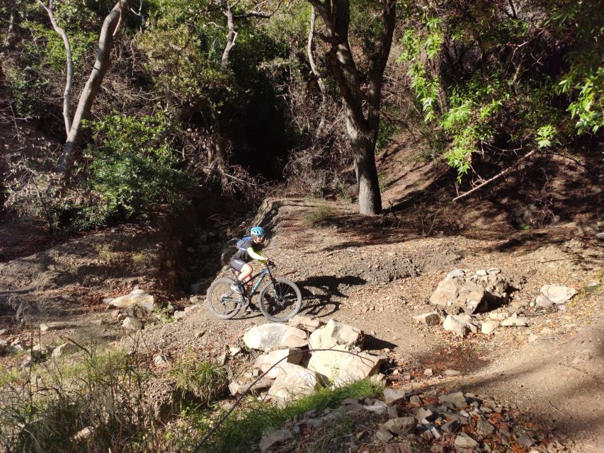 Santa Barbara: South Coast Mountain Bike Day Trip - Highlights