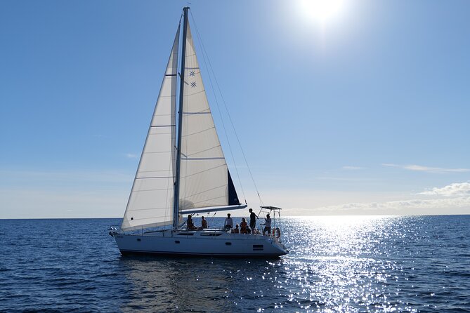 Santa Maria Full-Day Sailing Experience  - Sal - Copyright and Contact Information