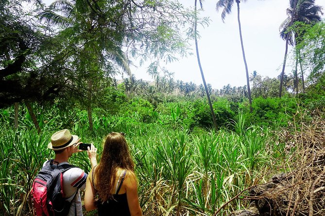 Santiago Island: Banana Plantation, Natural Park & Workshop With a Local Family - Additional Tour Information