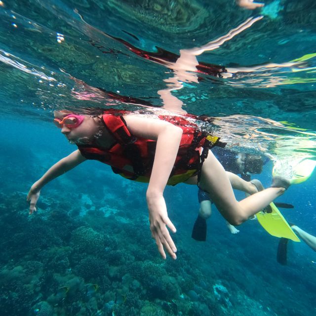 Sanur : Snorkeling at Sanur Coastal Area - Exploring Underwater Beauty at Sanur