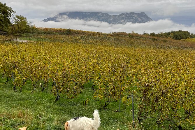 Savoie Wine Tour From Courchevel Winter Season - Expert Tour Guides