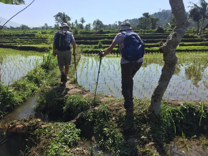 Scene of Sidemen Trekking - Last Words