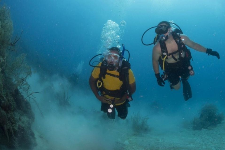 Scuba Diving Tulum Beginners: Explore the Underwater World - Underwater Exploration Experience