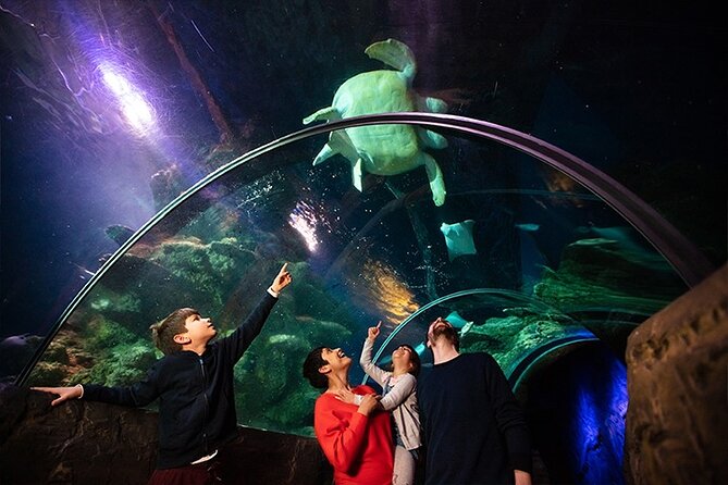 SEA LIFE London Aquarium Admission Ticket - Live Feedings and Talks Scheduled