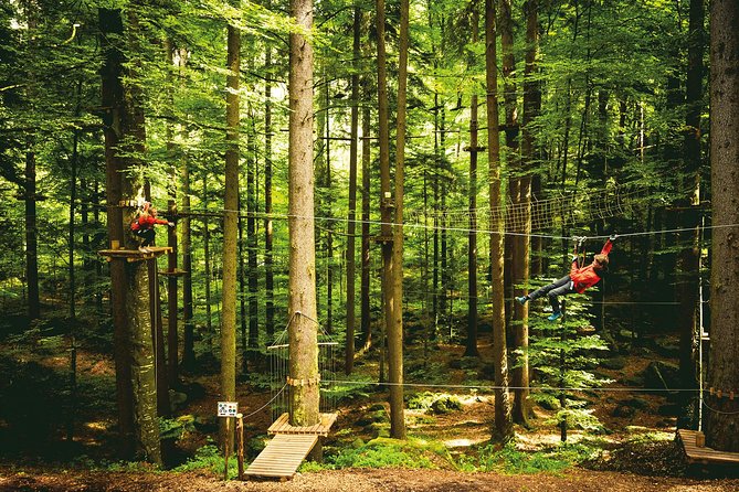 Seilpark High-Ropes Adventure Park Admission in Interlaken (Mar ) - Safety Guidelines