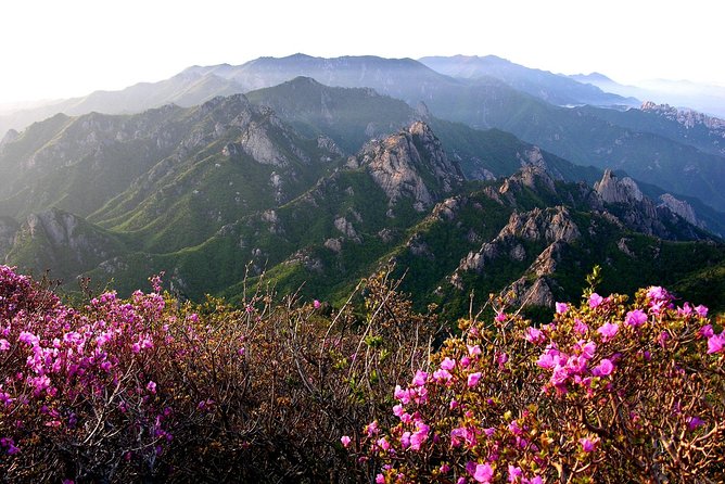 Seoraksan Daecheongbong(1,708m) Peak Hiking [1-Day Tour From Seoul] - Last Words