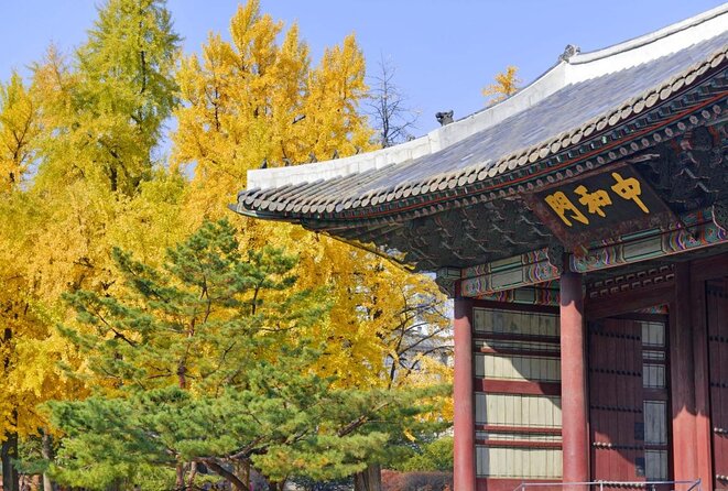 Seoul : Deoksugung Palace Half Day Walking Tour - Traveler Reviews and Ratings