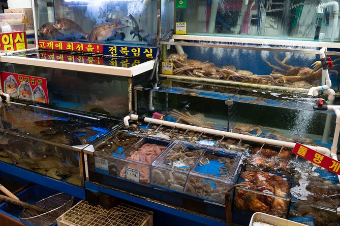 Seoul : the Biggest Sea-Food Noryangjin Market Gastroventure Tour - Cancellation Policy