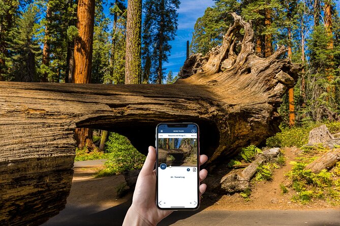 Sequoia & Kings Canyon National Park Self-Driving Audio Tour - Common questions