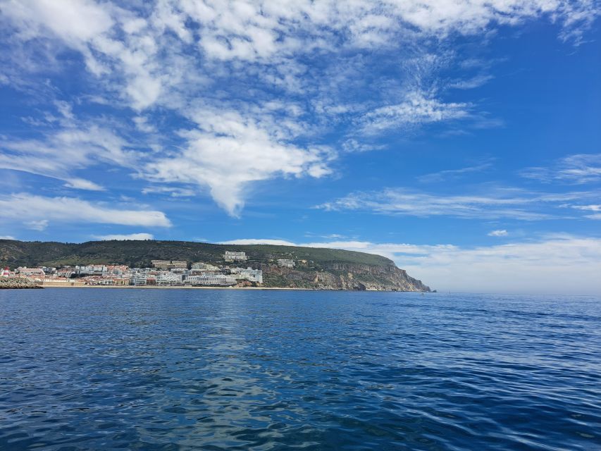 Sesimbra Cliffs: 1943 Traditional Boat Tour - Common questions