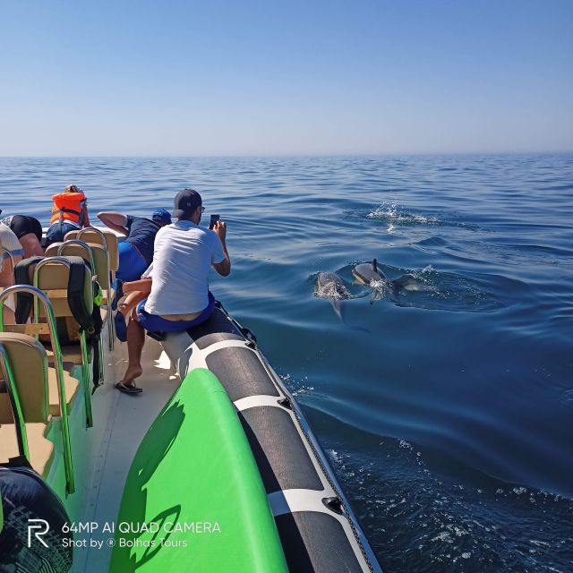Sesimbra: Dolphin Watching Boat Tour With Biologist Guide - Last Words