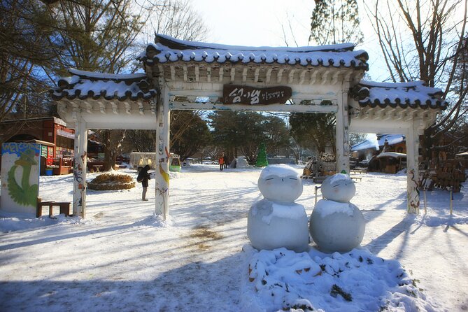 Shared Korean Winter Tour at Nami Island With Professional Guide - Last Words