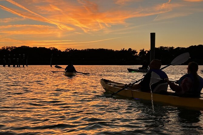 Sharkeys LED Illuminated Night & Sunset Tour on Glass Bottom Kayaks in Sarasota - Last Words