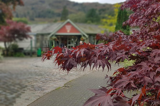 Shore Excursion: Lake District Adventure Sightseeing Day Trip From Liverpool - Additional Tips and Assistance