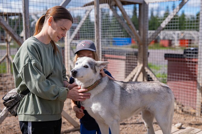 Short Norrbotten County Huskies Visit  - Kiruna - Last Words