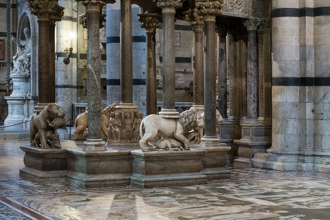 Siena Guided Tour With Cathedral Complex and Museum - Customer Satisfaction and Experience