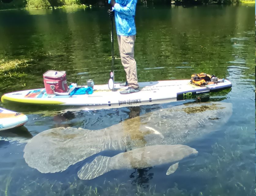 Silver Springs: Manatees and Monkeys Clear Kayak Guided Tour - Last Words