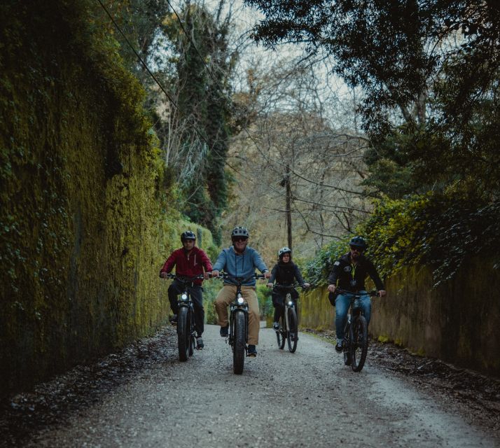 Sintra: Biester Palace and Park E-Bike Tour With Sightseeing - Last Words