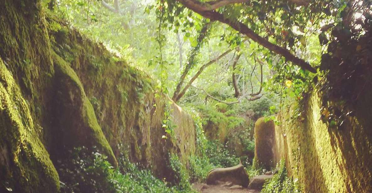 Sintra: Kingdom of Love Private Walking Tour With Historian - Additional Info