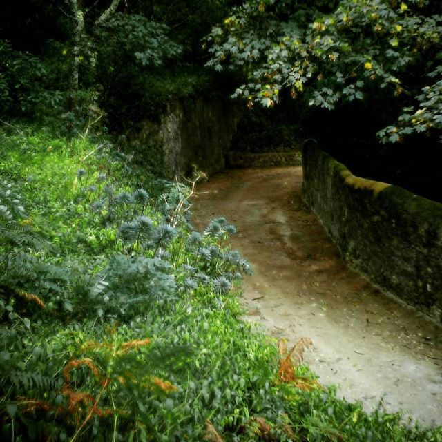 Sintra: Legends and Medieval Stories Private Walking Tour - Common questions