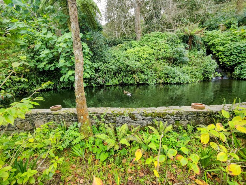 Sintra Private Tour: Regaleira and Biester Palace - Tour Inclusions