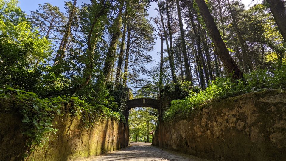 Sintra Small Group Tour From Lisbon With Pena Palace Ticket - Last Words