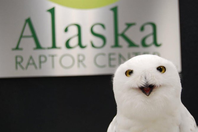 Sitka Premium Tour- Private- Alaska Raptor Center, Fortress of the Bears,Totems - Last Words