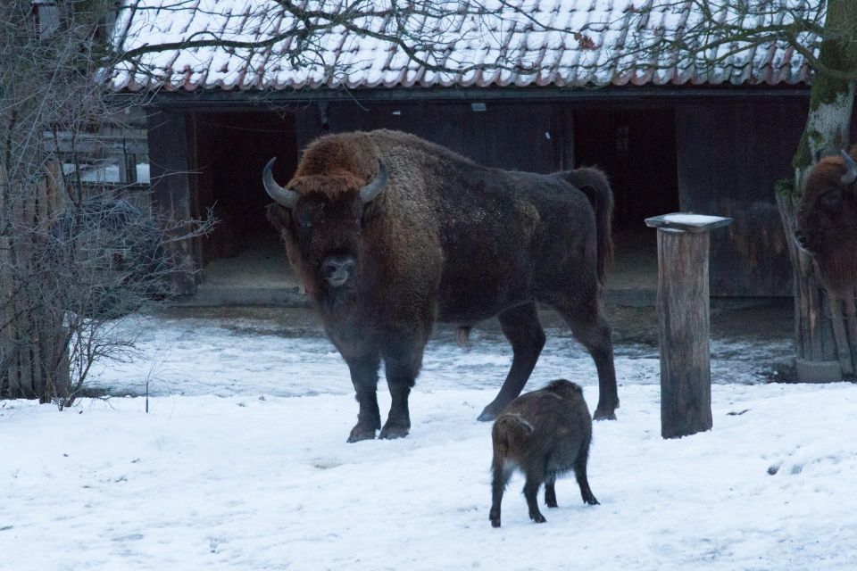 Skansen Stockholm Fast-Track Tickets, Private Tour - Last Words