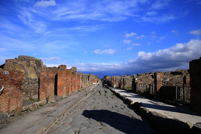 Skip-the-line Exclusive Private Full-Day Complete Ancient Pompeii Guided Tour - Last Words