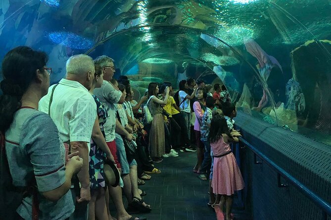 Skip the Line: Pattaya Underwater World - Common questions