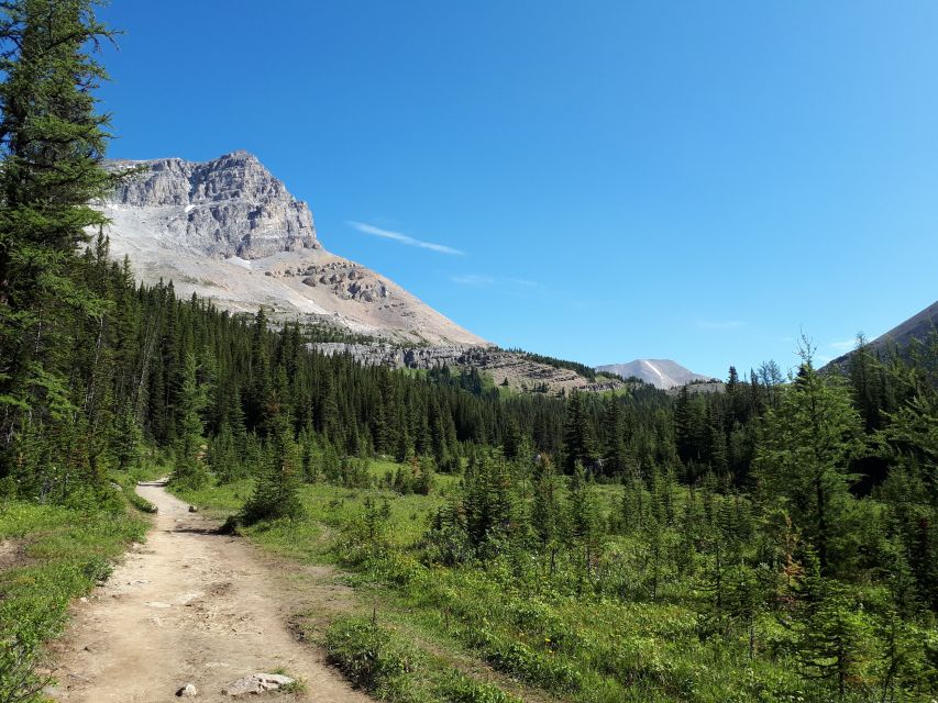 Skoki Lake Louise Daily Guided Hike in the Canadian Rockies - Common questions