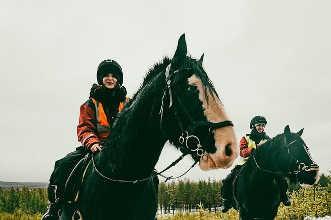 Small-Group Arctic Circle Horse Riding From Rovaniemi - Common questions