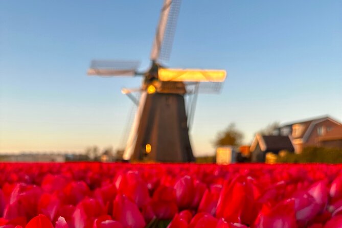 Small Group Bike Tour to Tulips Field in Lisse - Additional Tips