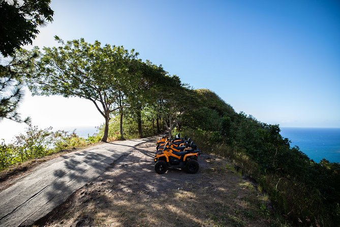 Small-Group Half-Day All-Terrain Vehicle Tour in Moorea - Common questions