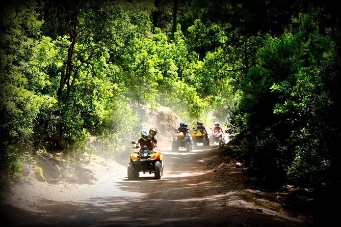 Small-Group Half-Day Tiede National Park ATV Excursion  - Tenerife - Last Words