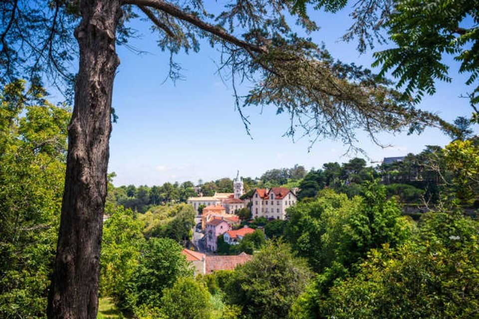 Small Group: Sintra With Pena Palace & Wine Tour Full Day - Common questions