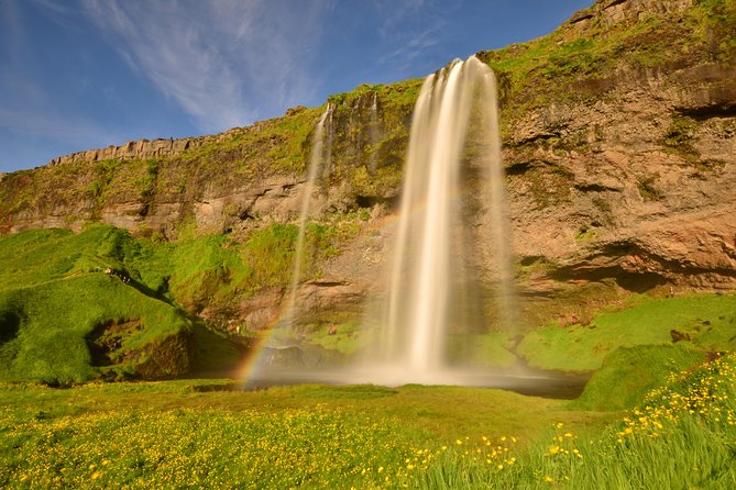 Small-Group South Coast of Iceland: Glaciers, Waterfalls & Black Beaches - Guide Experience