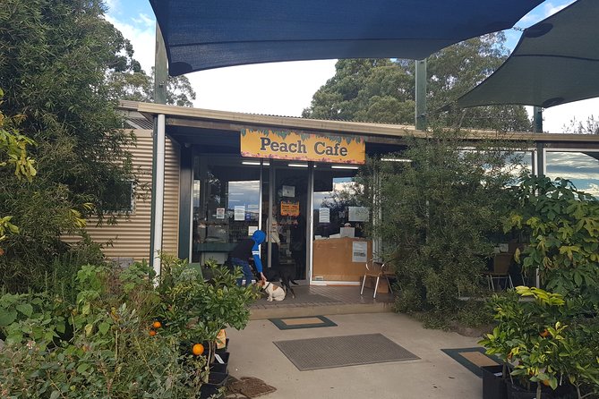 Small-Group Tractor Tour at Rayners Orchard From Melbourne - Customer Reviews