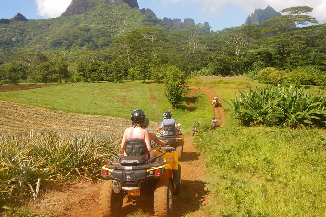 Small Quad Tour 2h30 Quad Excursion in Moorea (Single or Two-Seater) - Common questions